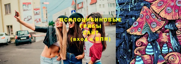 таблы Алзамай