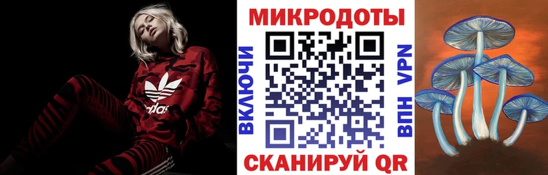 Купить  Рыбинск  Галлюциногенные грибы Psilocybe 